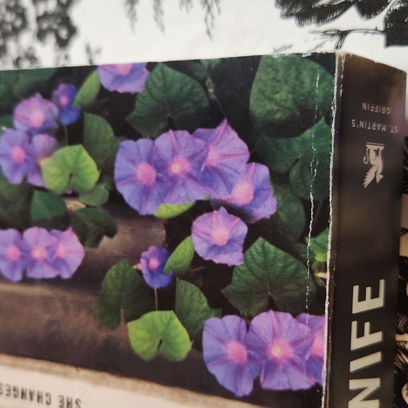 The Younger Wife  by Sally Hepworth m3 - Picture 9 of 10